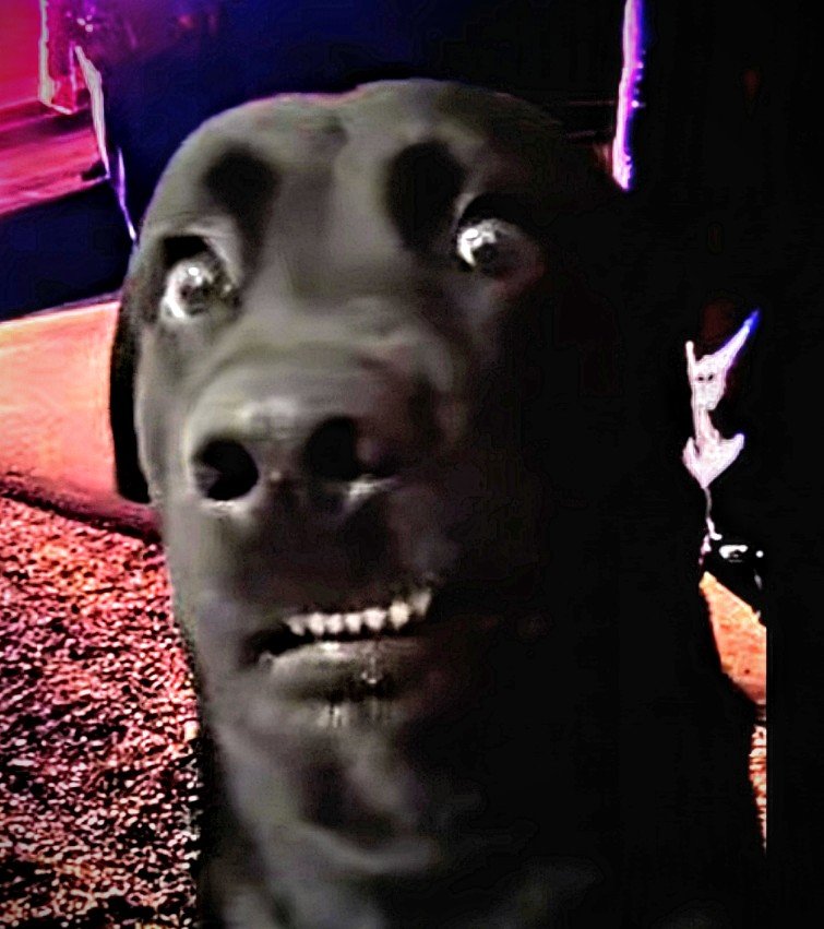 Screenshot_20231027_151115~2.jpg