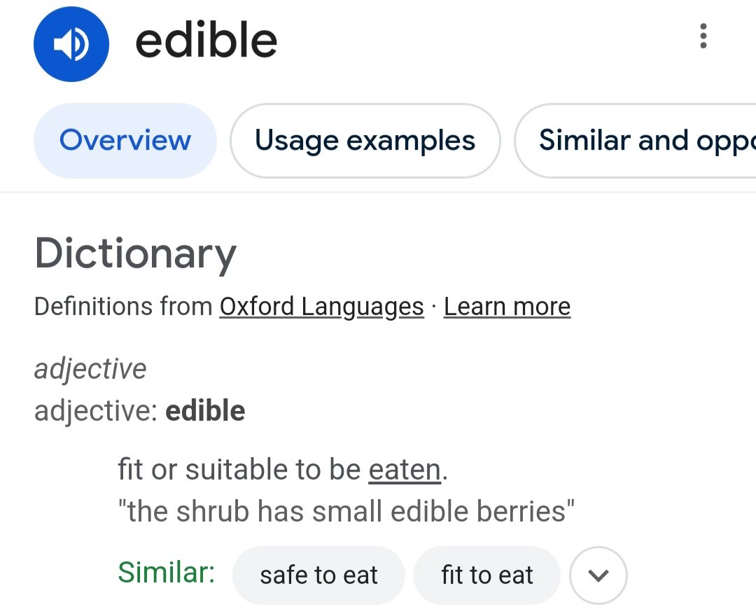 Screenshot_20240727_144110_Google.jpg