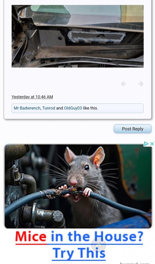 Screenshot_20250320.jpg