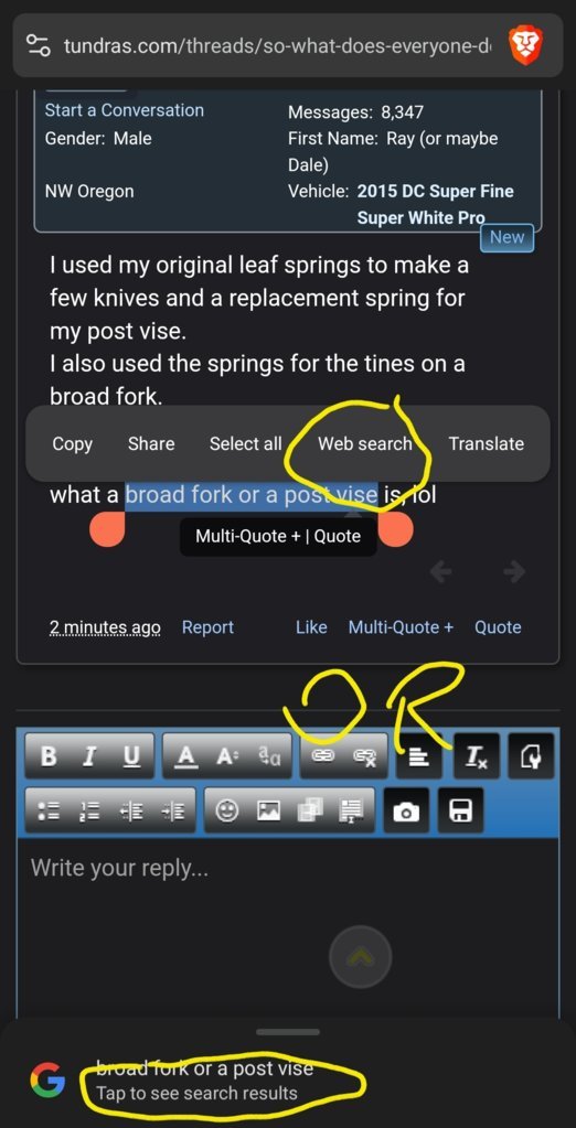 Screenshot_20250424_163656_Brave.jpg