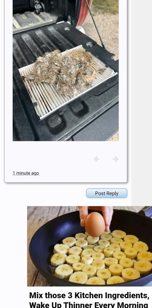 Screenshot_20250819_080418_Chrome.jpg