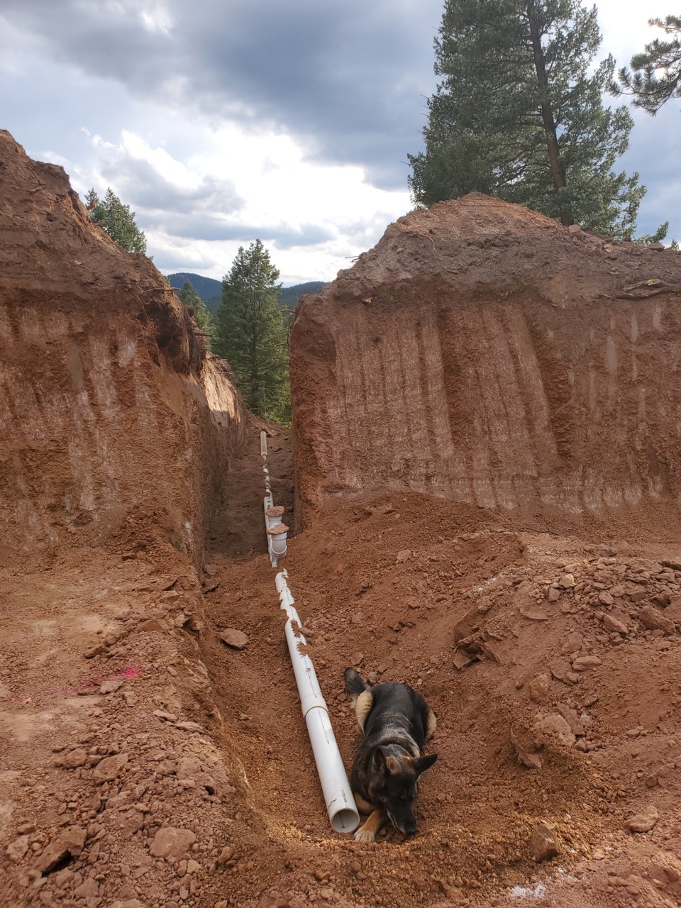septic line raina.jpg
