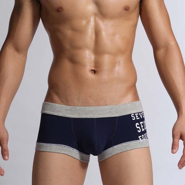 sexy-male-underwear-men-low-rise-boxer-briefs-big-pouch-desi-5864396-Gallay.jpg