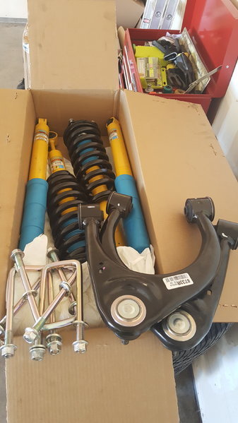 Shocks.jpg