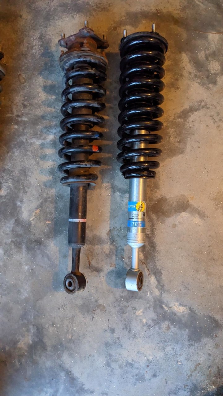 shocks.jpg