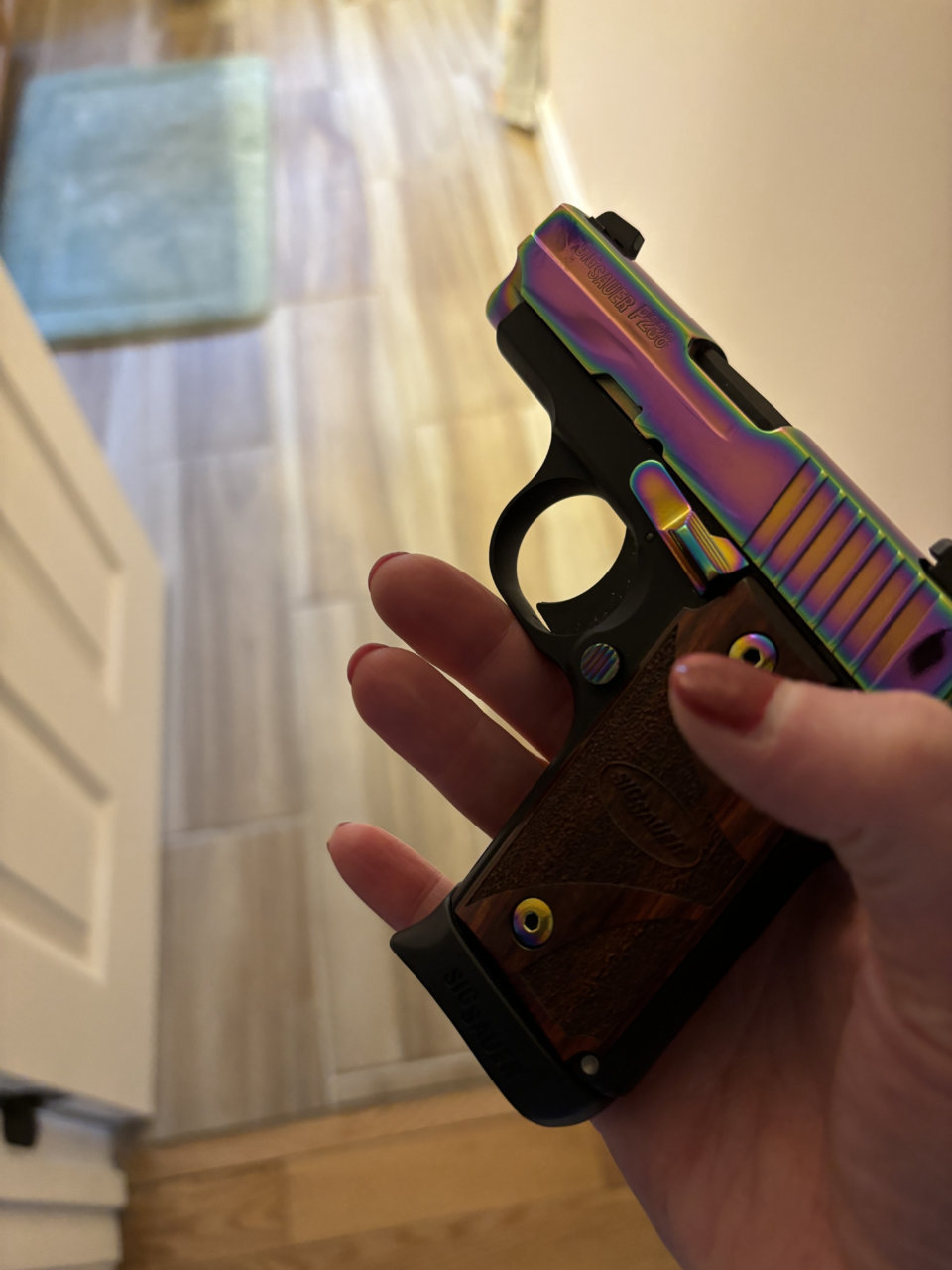 Sig238.HEIC.jpg