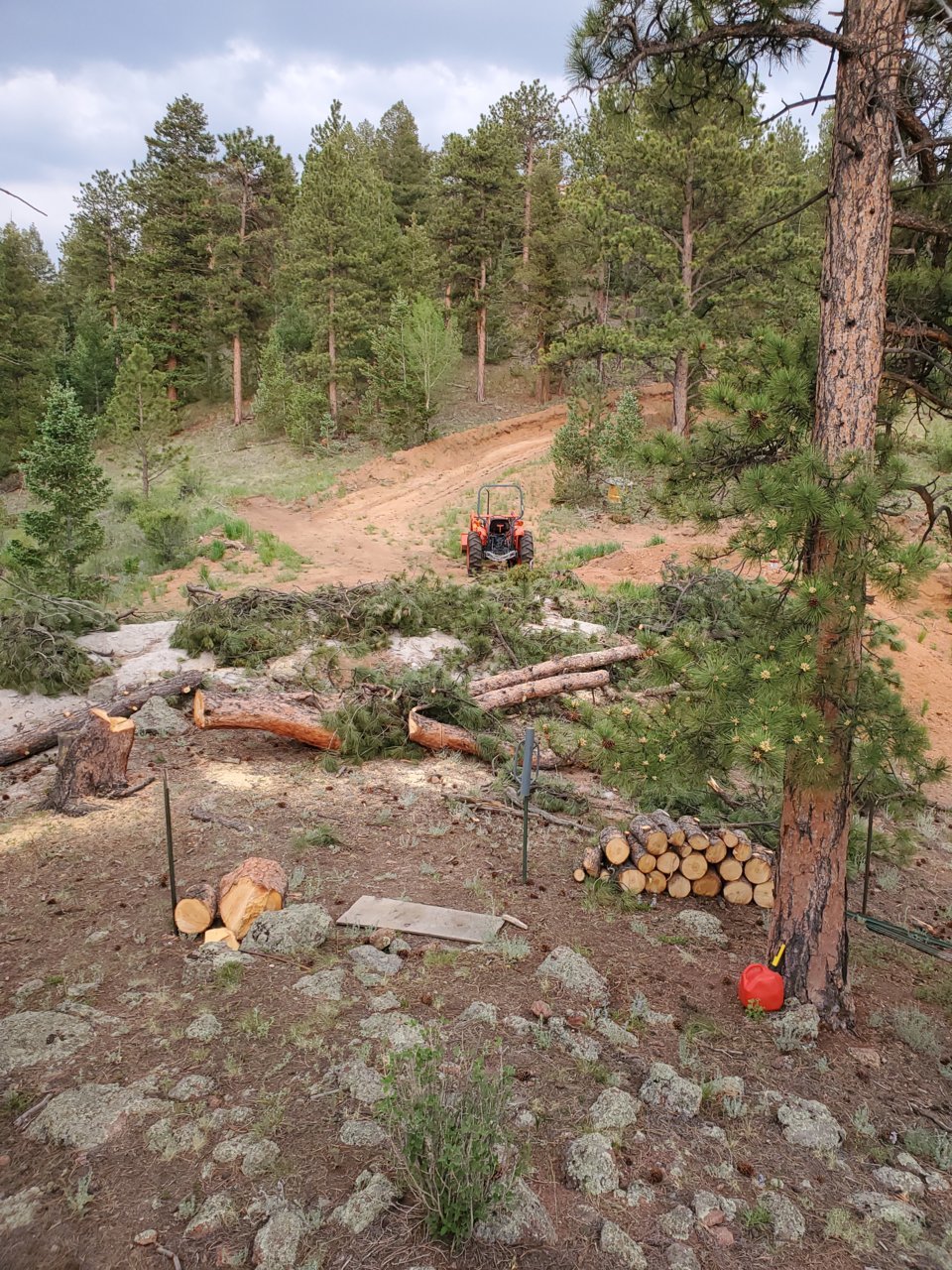 site pre dig.jpg