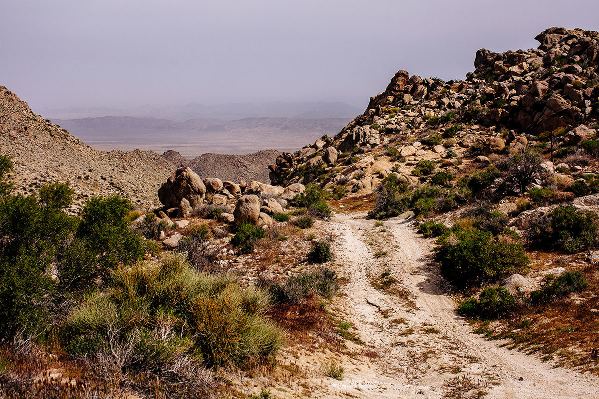 Slavin_110320_5657.jpg