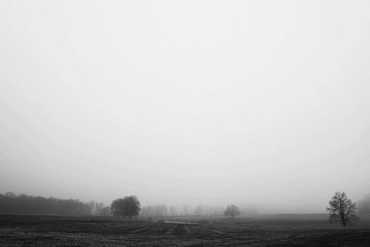 Slavin_211202_1020760.jpg