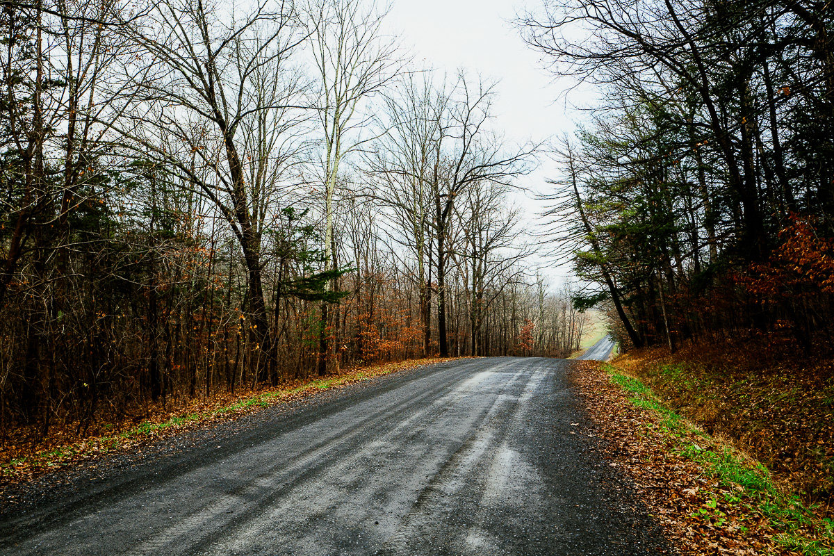 Slavin_211202_1020764.jpg