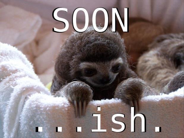 sloth-soon-meme.jpg