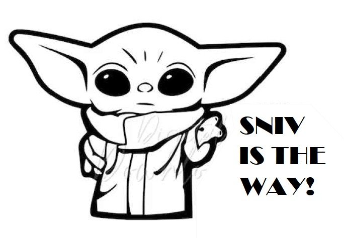SNIV.jpg