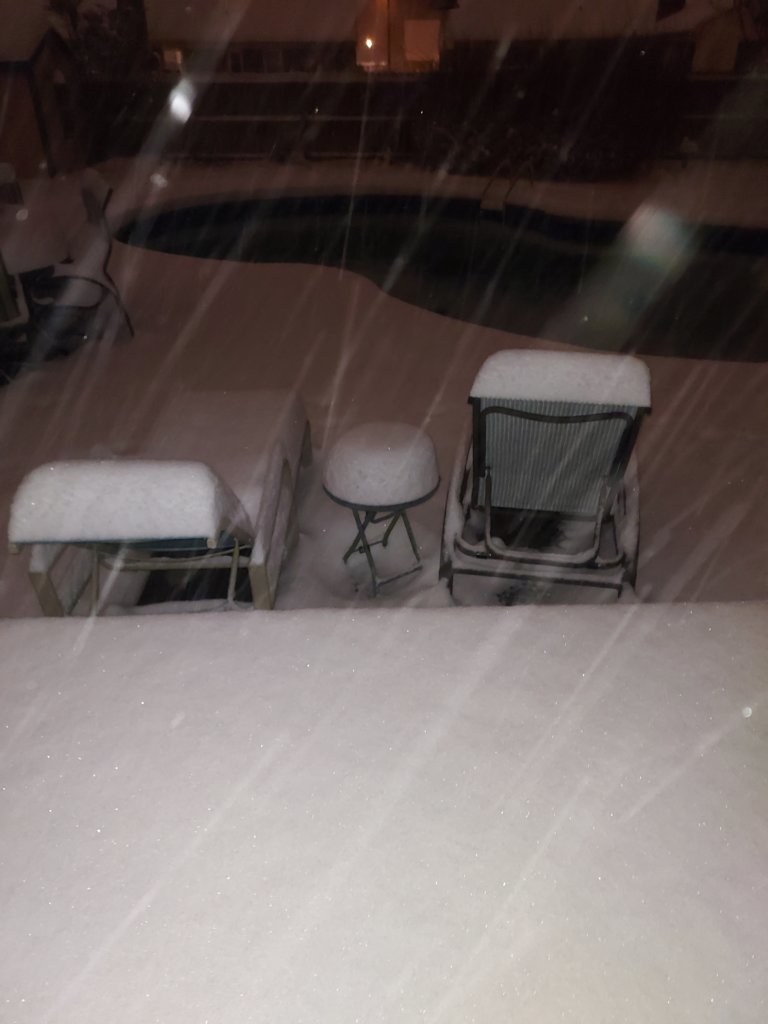 snow1.jpg