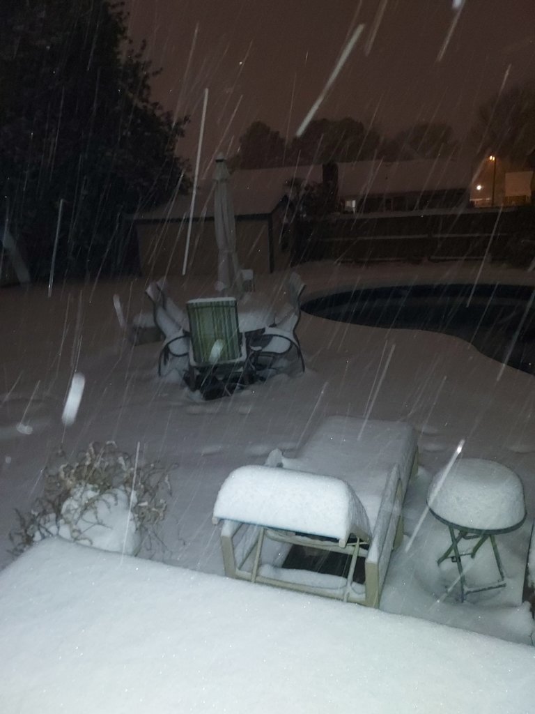 snow2.jpg