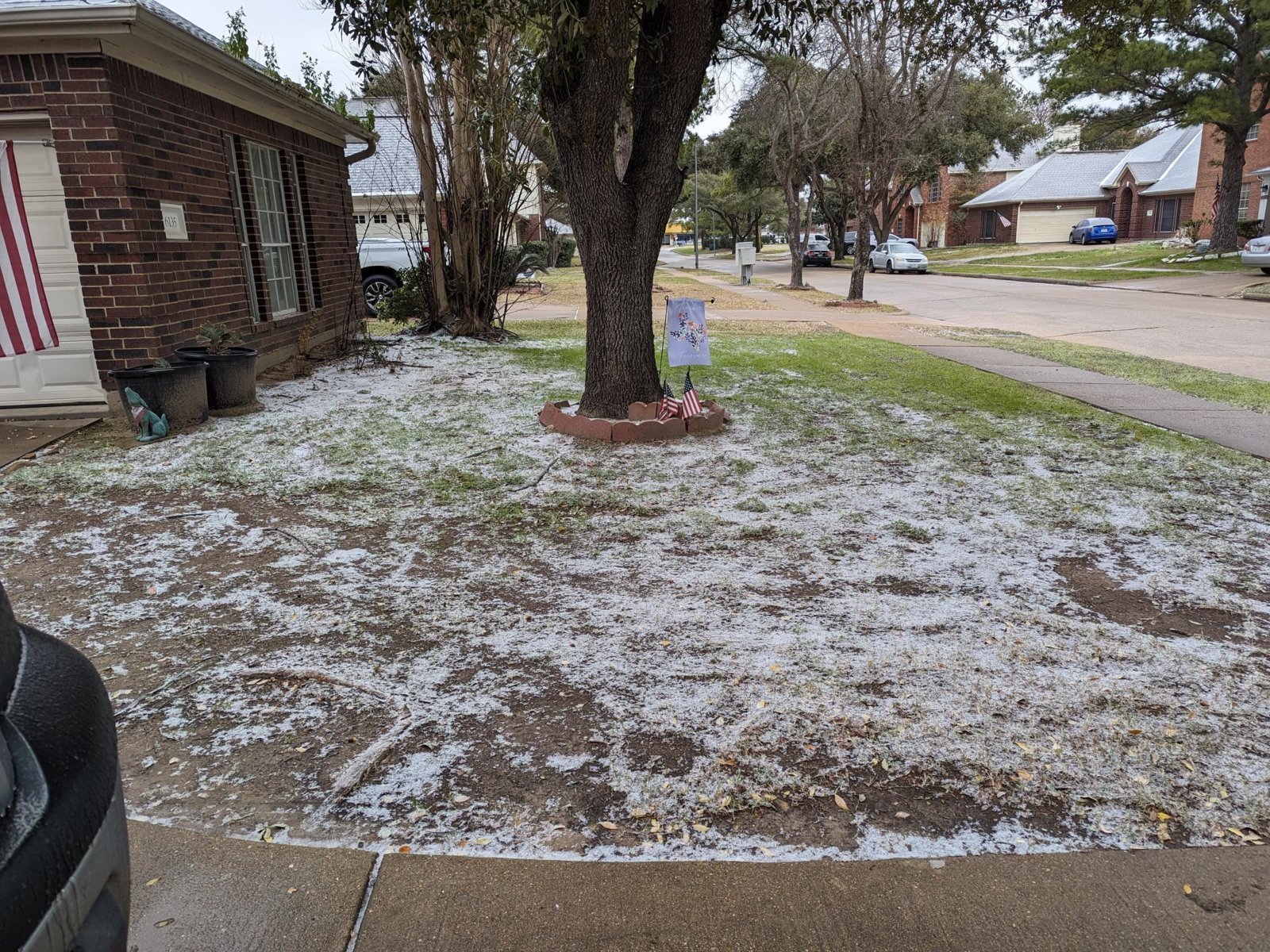 snow2.jpg