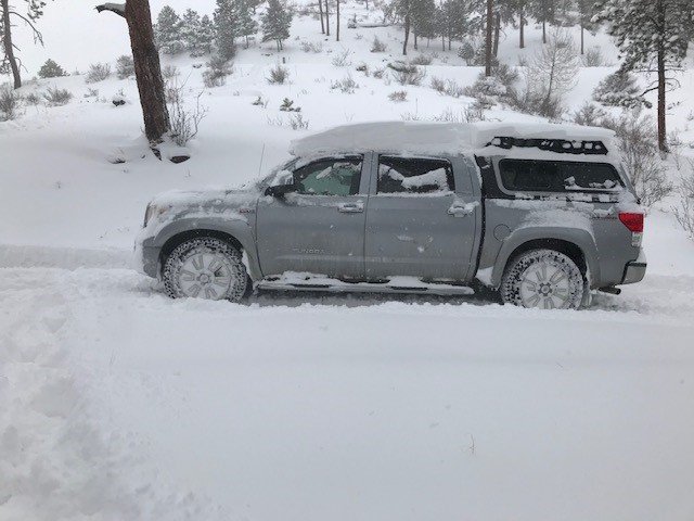 snowy day 1.jpg
