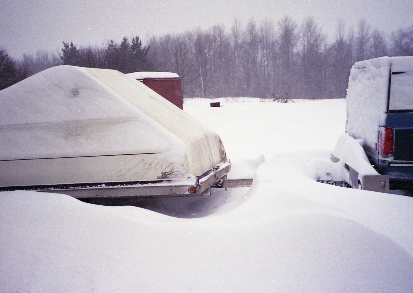snowy morning.jpg