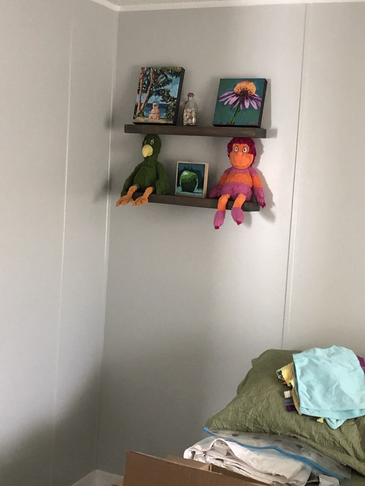 spare room hidden shelves with Cons paintings.jpg