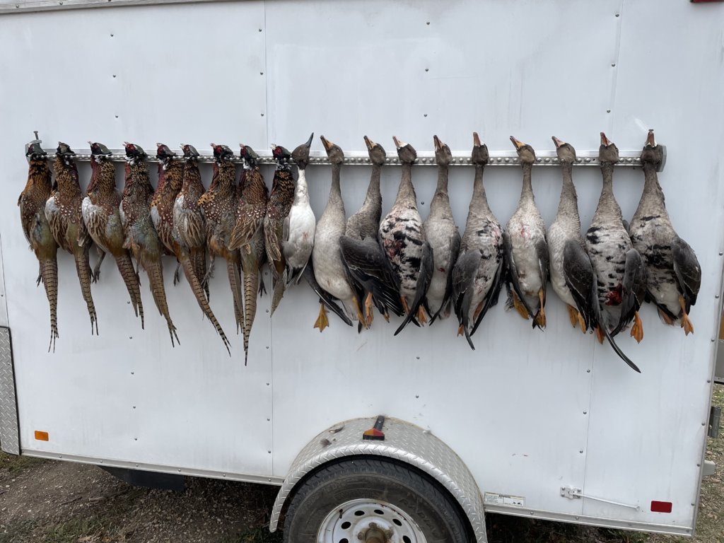 Specks and Cocks.jpg