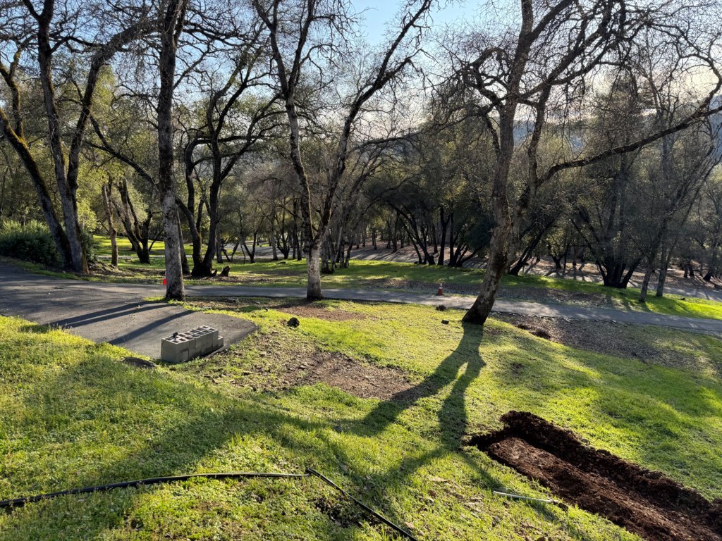 spring3.jpg