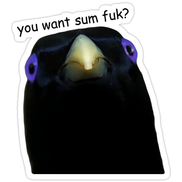 sticker,375x360-bg,ffffff.png