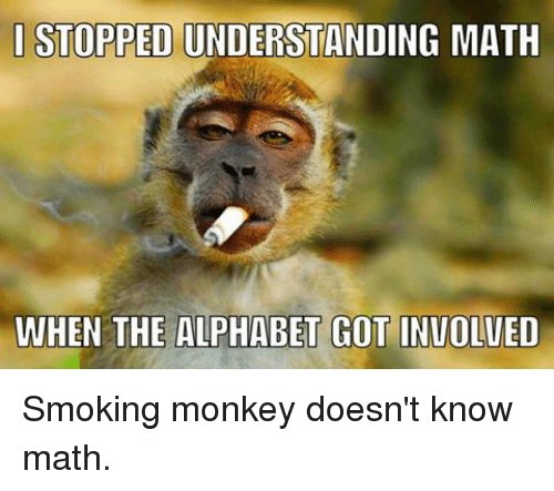stopped-understanding-math-when-the-alphabet-got-inuolved-smoking-monkey-8349423.jpg