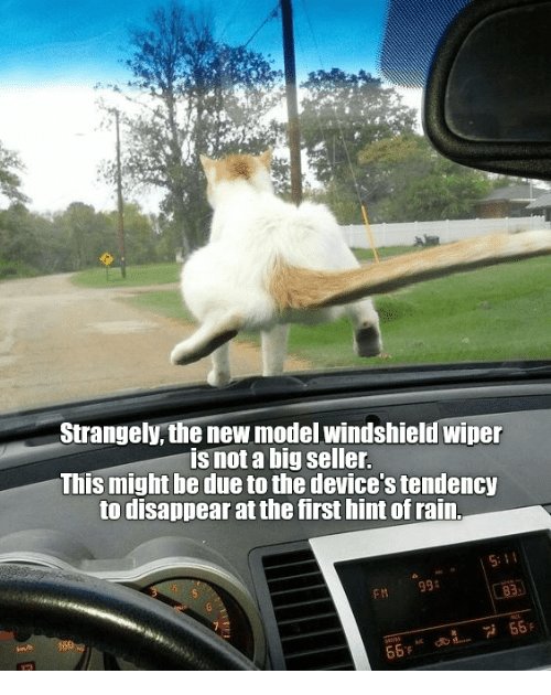 strangely-the-new-model-windshield-wiper-is-not-a-big-38750121.jpg