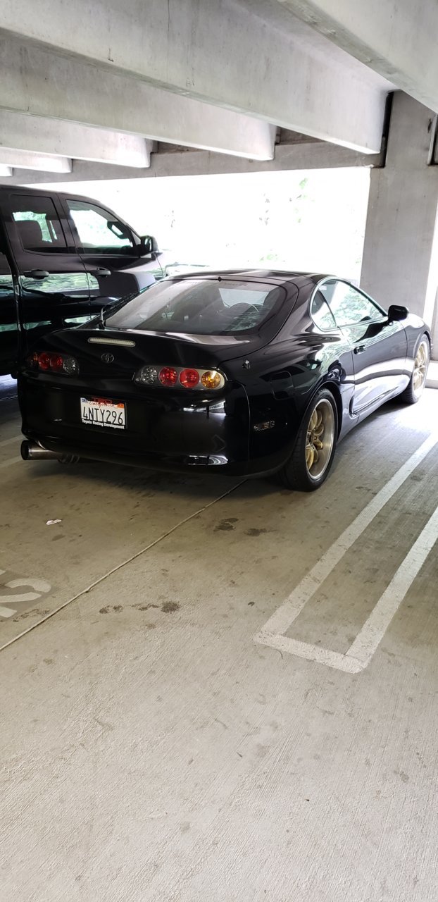supra.jpg