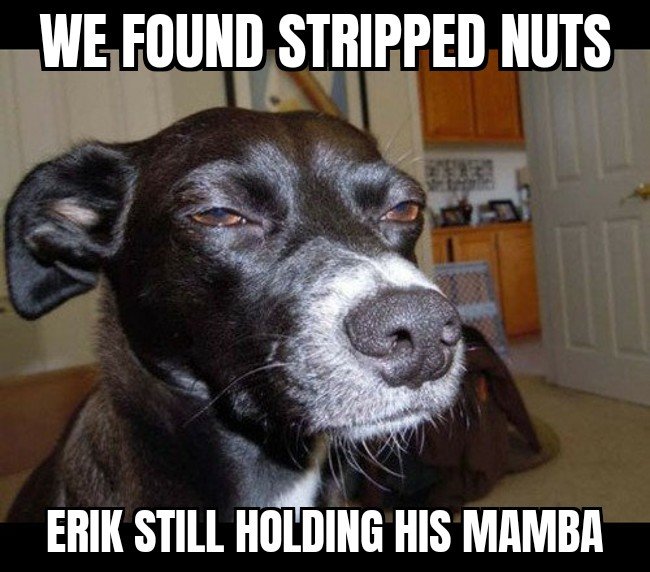 Suspicious Dog 16072021073153.jpg