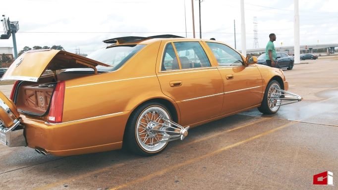 swangas.jpg