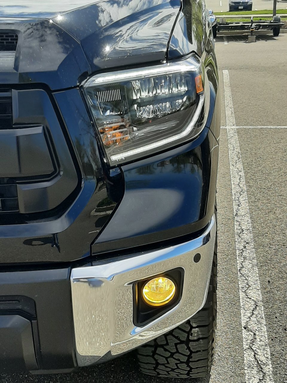 switchback yellow.jpg