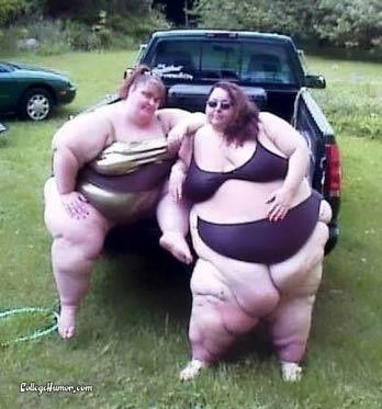 T150 Chick.jpg