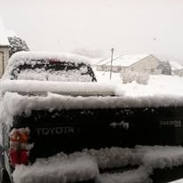 taco in the snow 2014.jpg