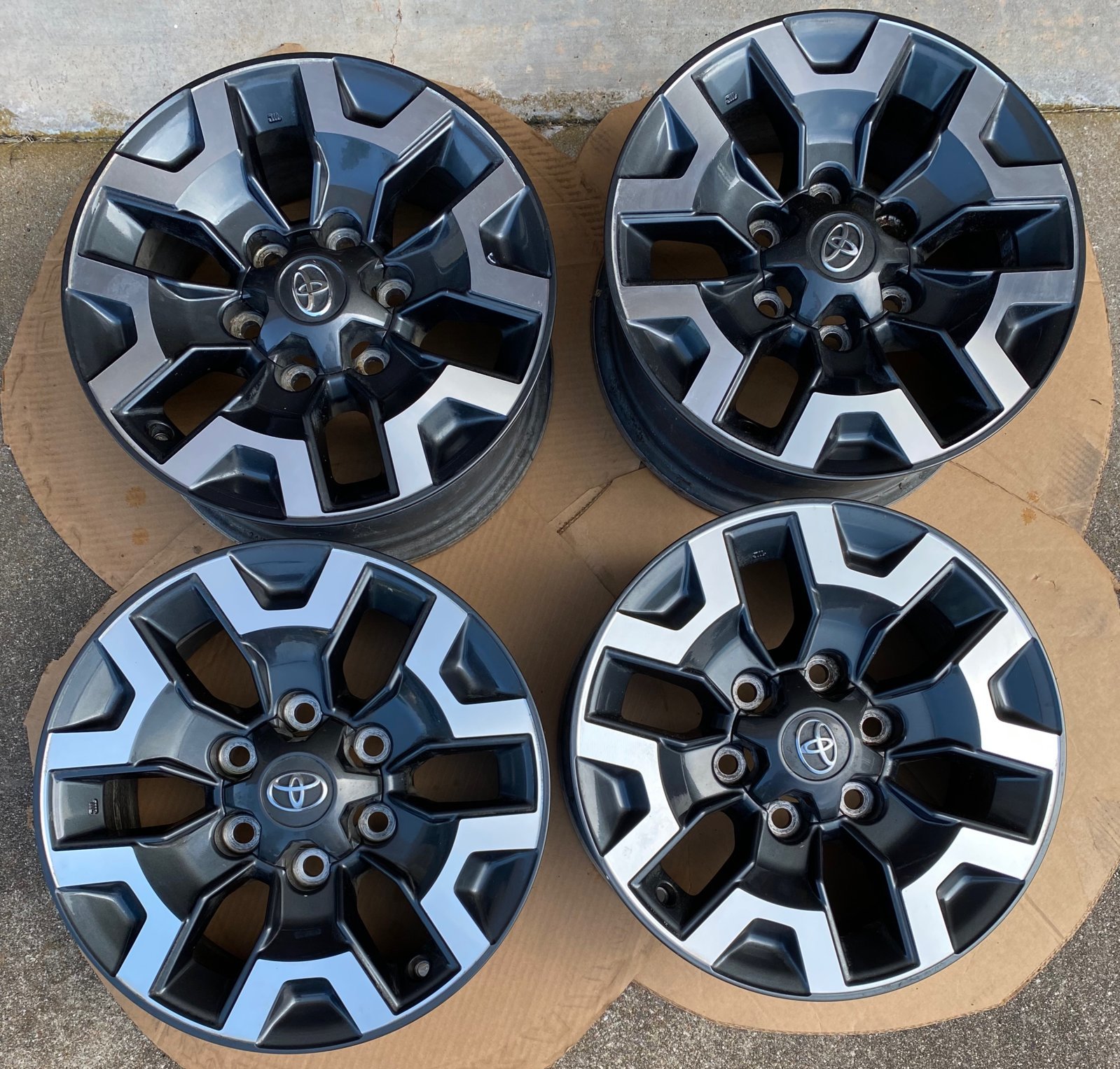 Taco Wheel 16.jpg