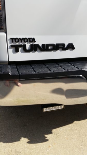 Tail Badge 3.jpg