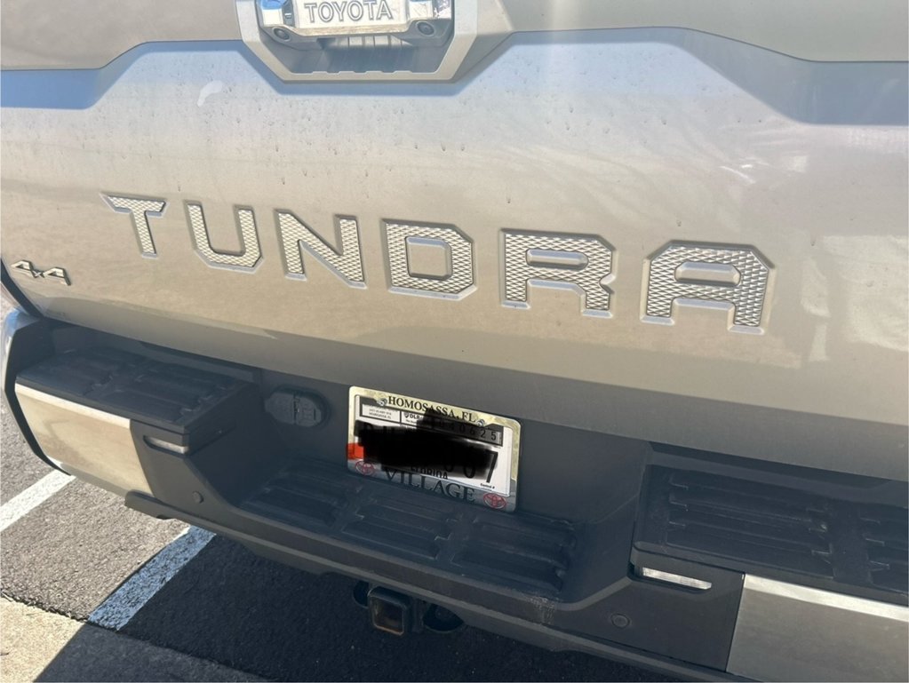 Tailgate.jpg