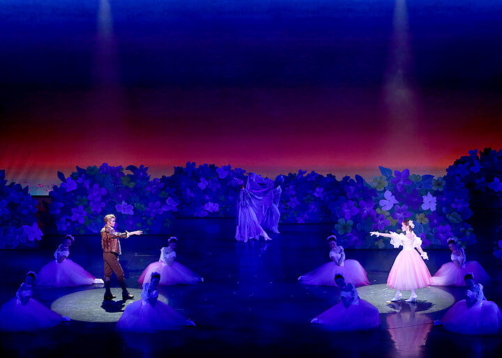 Takarazuka Review.jpg