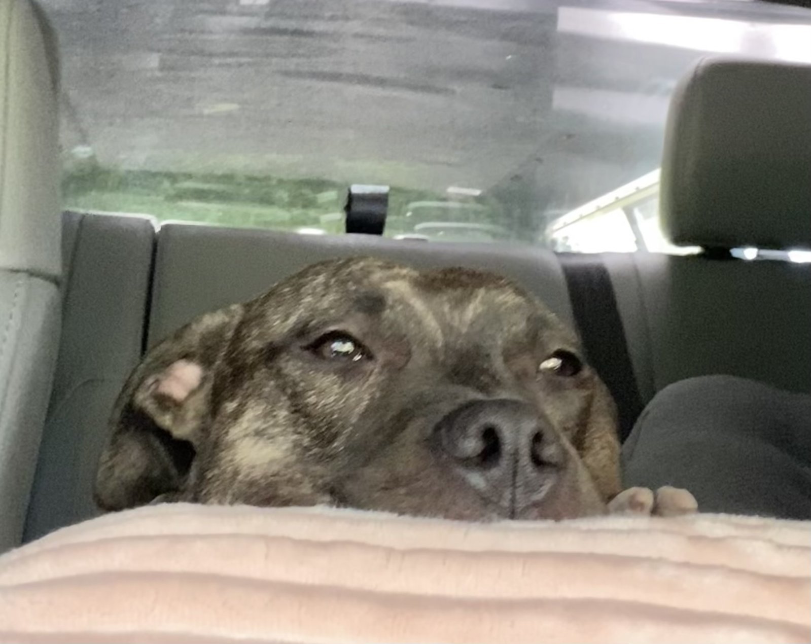 Tallulah eyes open.jpg