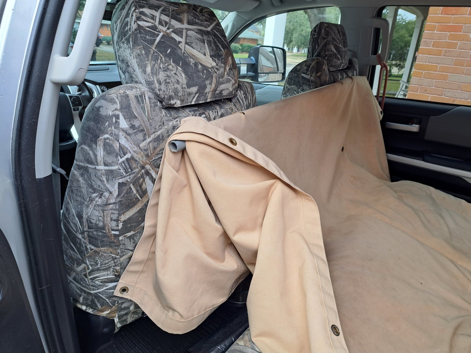 Tarp 2.jpg