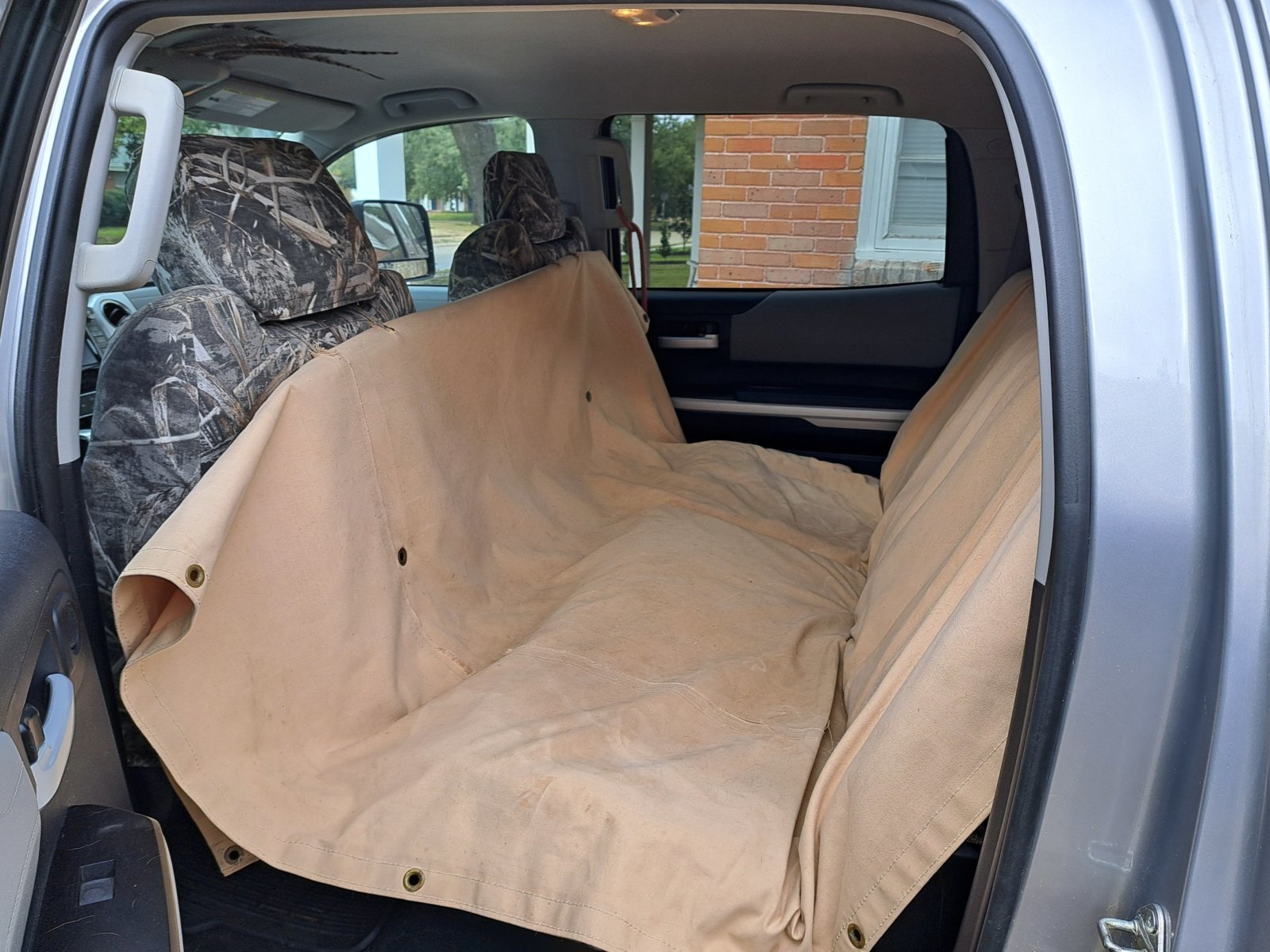 Tarp 5.jpg