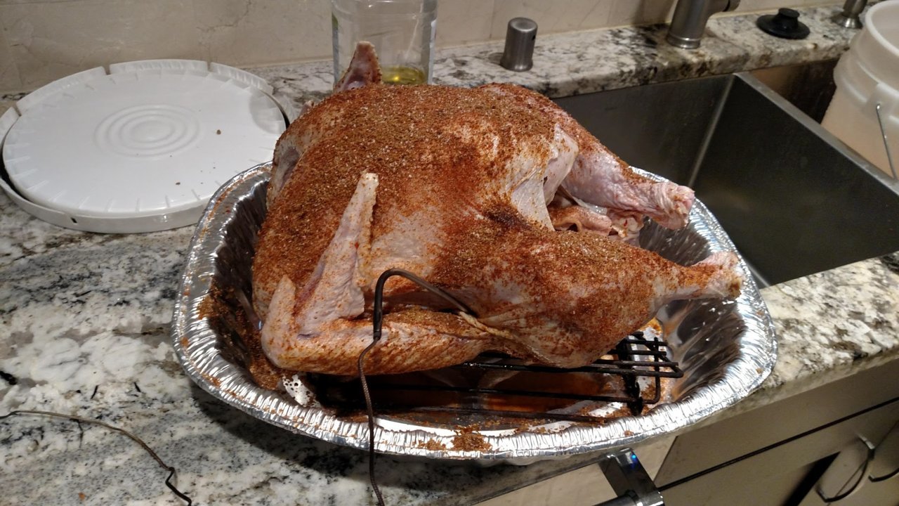 tday_bird.jpg