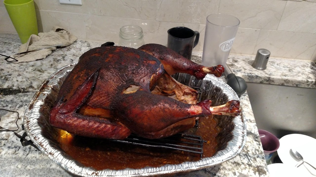 tday_bird_done.jpg