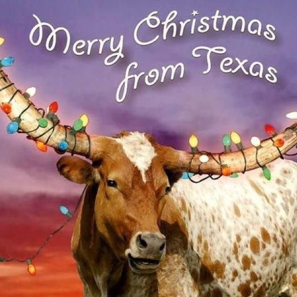 texas christmas.jpg