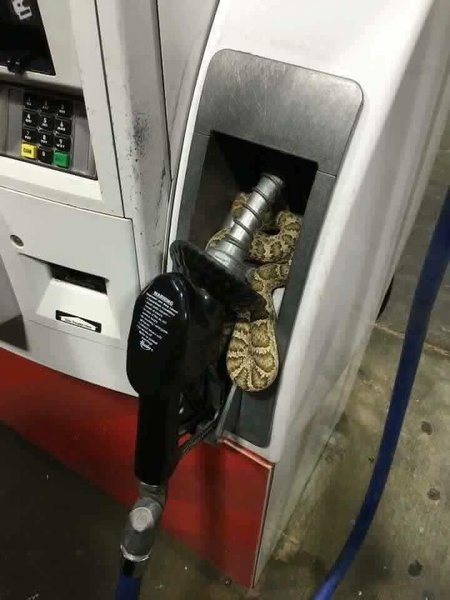 texas gas station woes.jpg