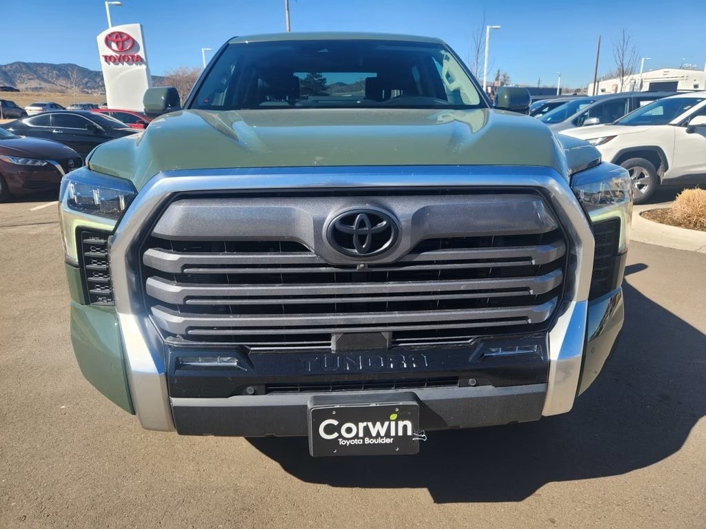 The grille trim only a mother could love.jpg