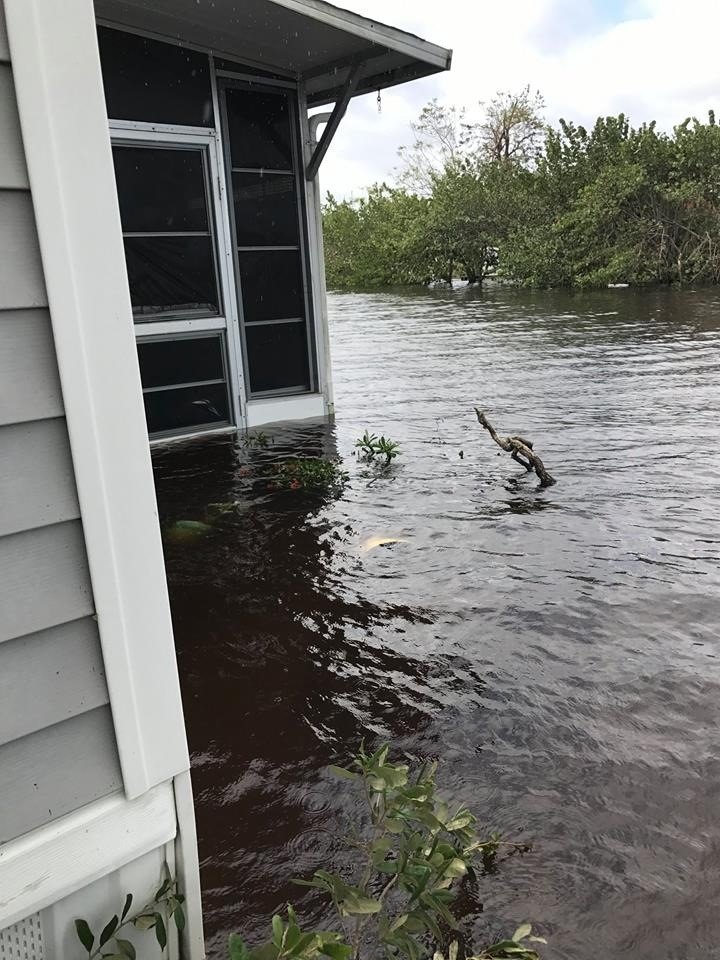 thumbnail_IMG_1587 irma canal side.jpg