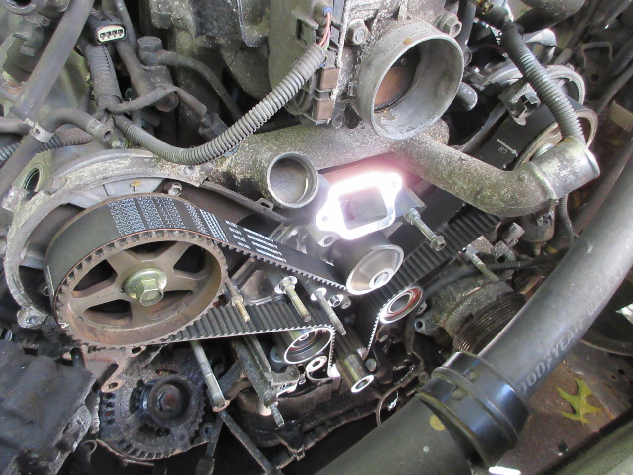 Timing belt2.jpg