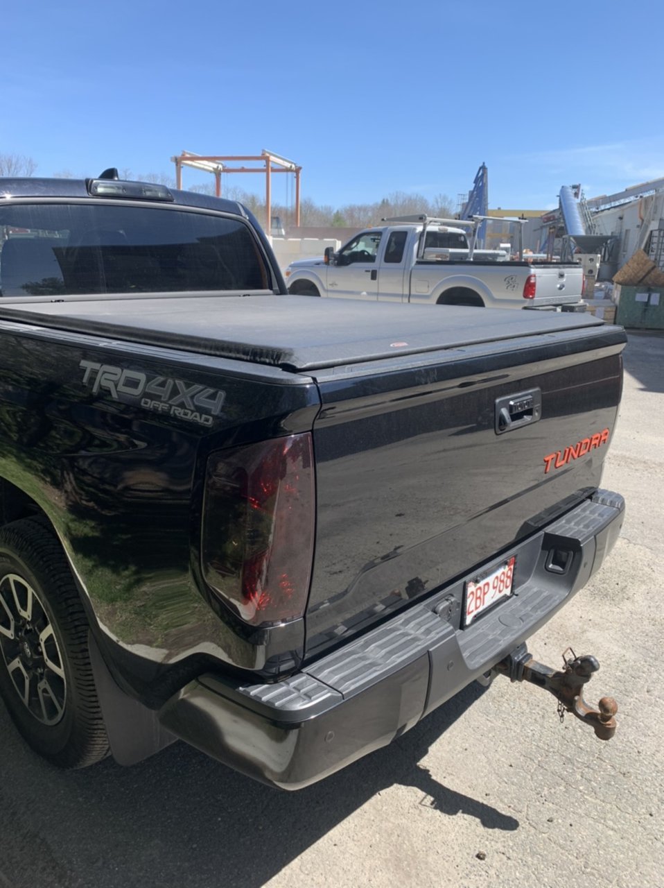 Tinted Tails 2.jpg