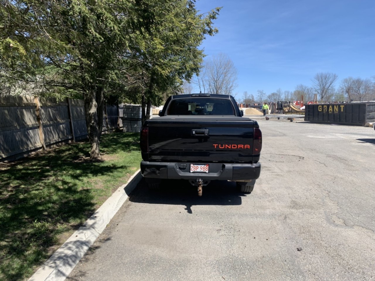 Tinted Tails.jpg