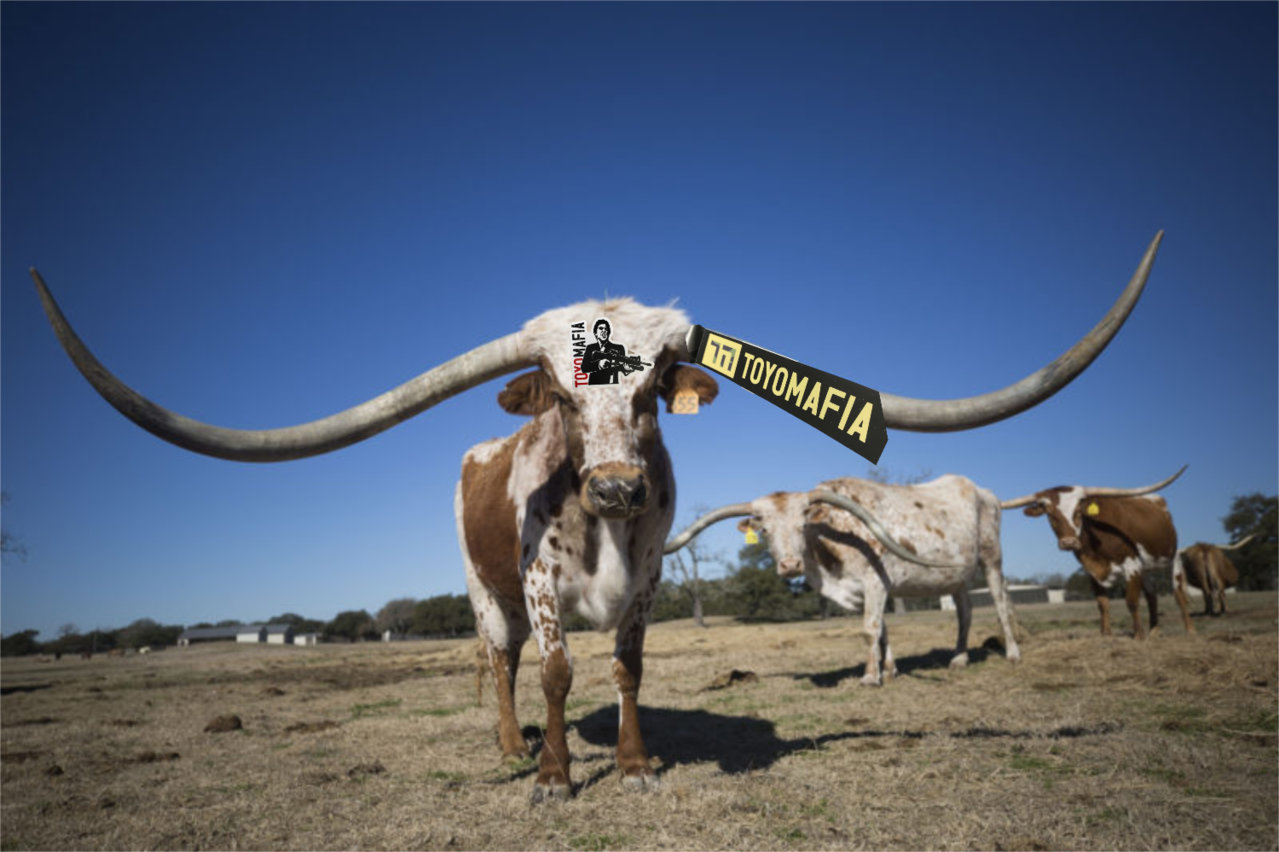 TM-Longhorn.jpg